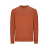 Sweat 100% Cotton - Mist