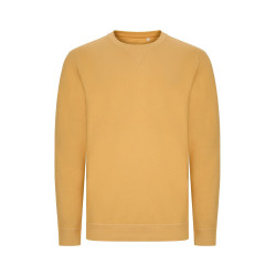 Sweat 100% Cotton - Mist