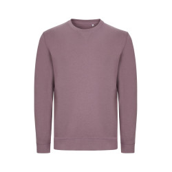 Sweat 100% Cotton - Mist