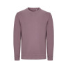 Sweat 100% Cotton - Mist