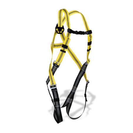 Harness